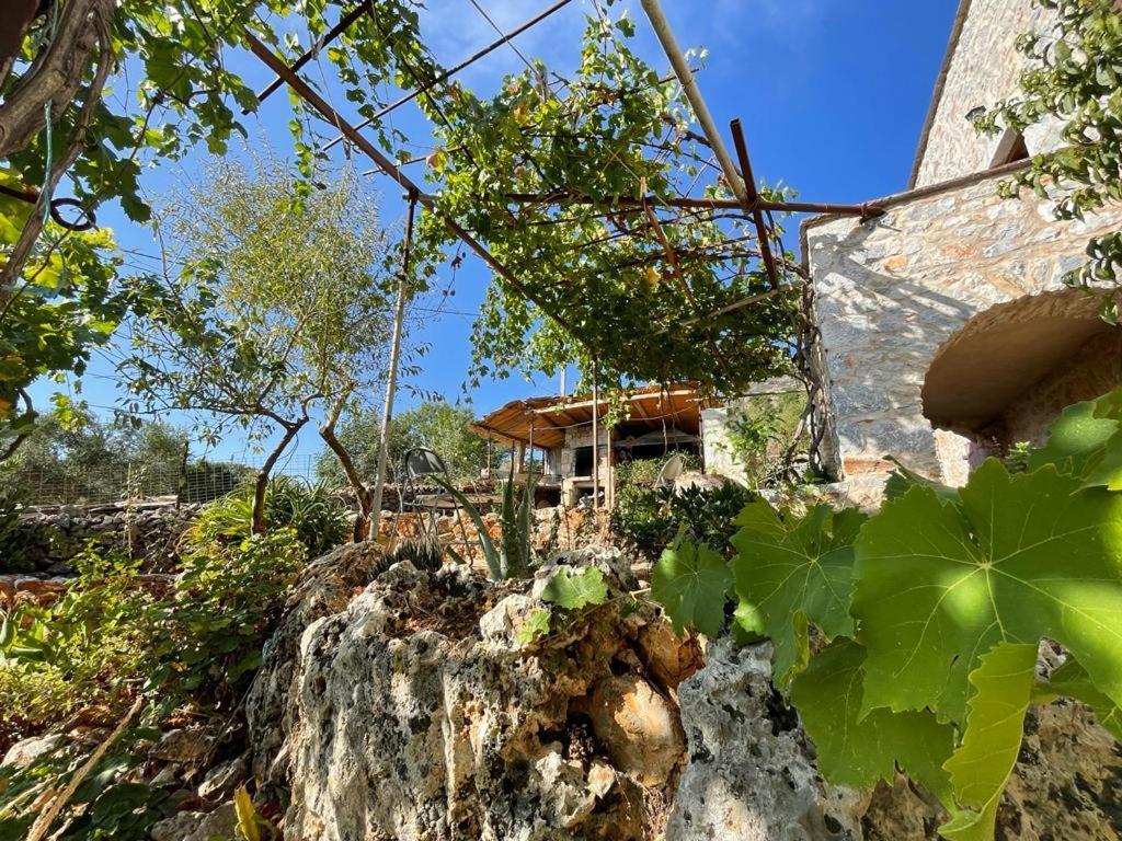Find Your Peace In A Traditional Country House!! Lagia Exterior photo