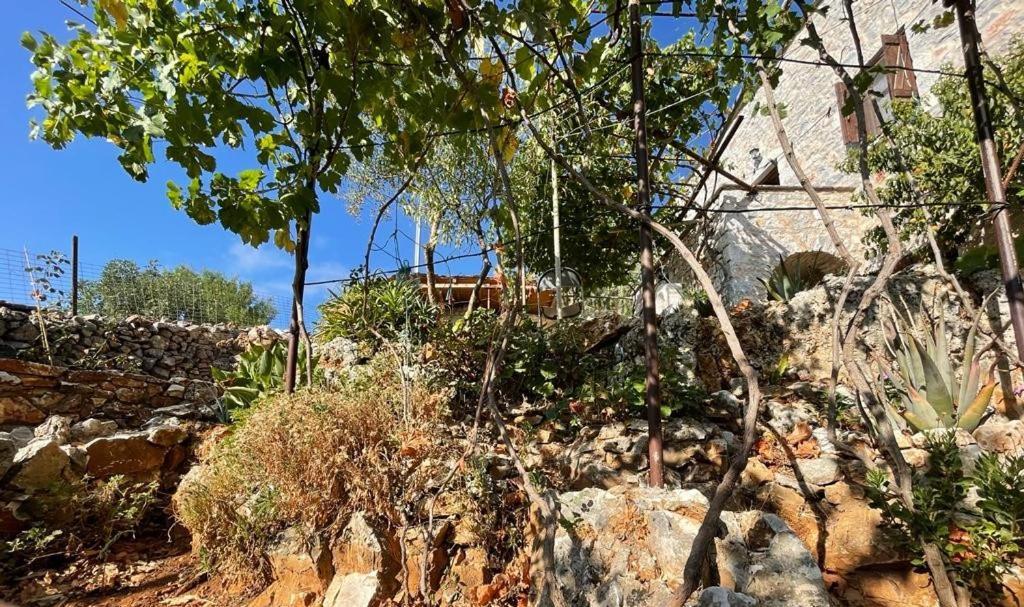 Find Your Peace In A Traditional Country House!! Lagia Exterior photo